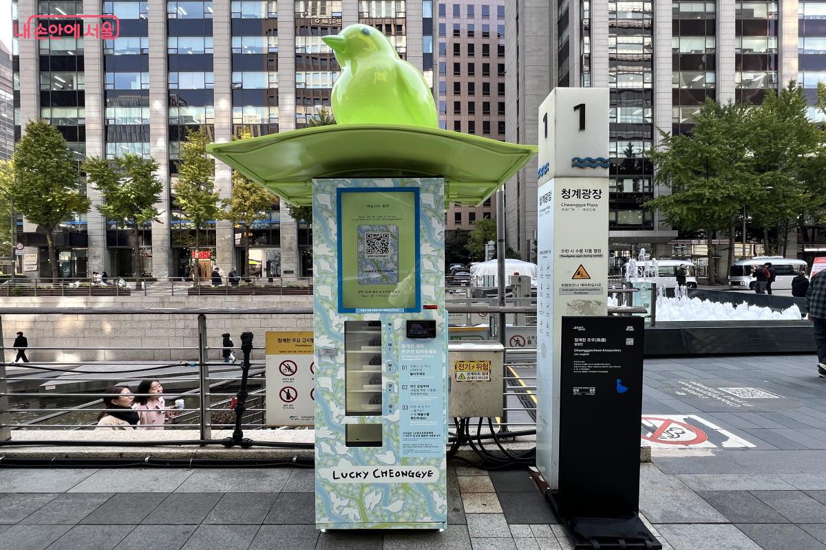 새 모습이 담긴 포토 카드를 구매하면 판매 수익이 조류 보호 단체에 기부된다. &copy;박지영