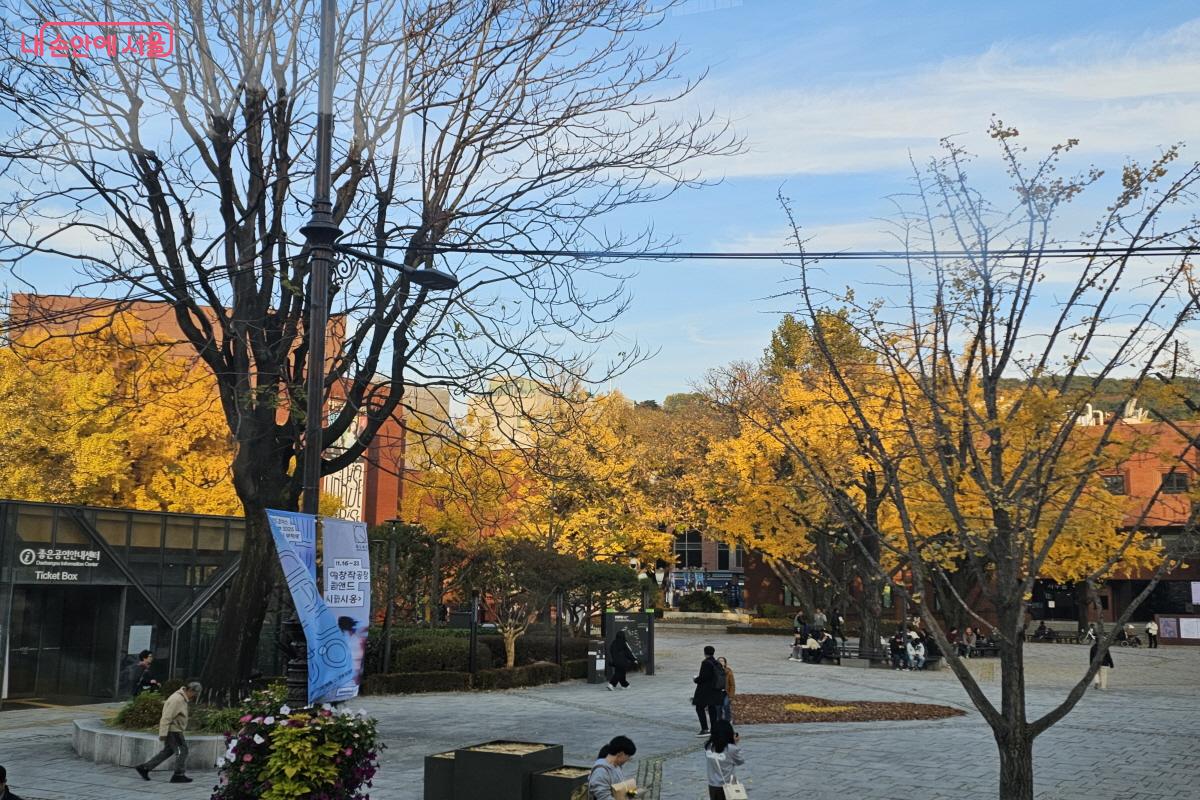 내가 살고 있는 곳을 색다르게 돌아보는 방법으로도 추천한다. &copy;염지연