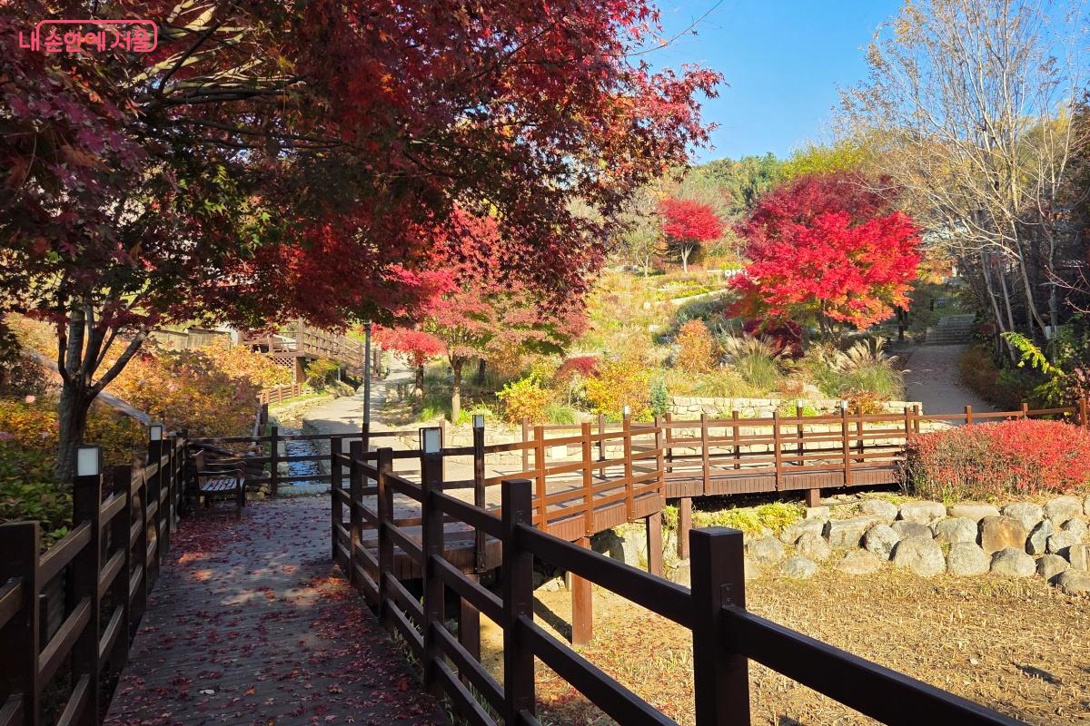 낙엽이 떨어진 나무 데크길이 아름답다. &copy;김미선선