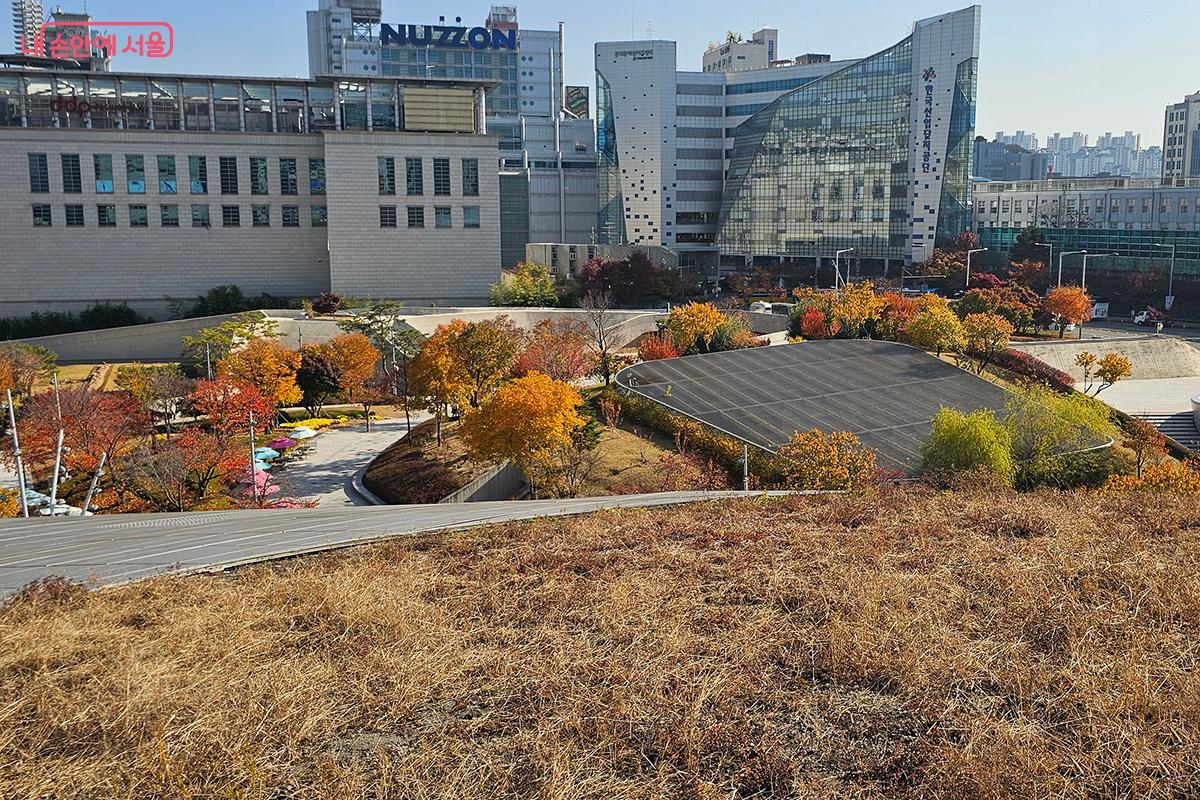 물결치는 곡선 위로 도시와 계절이 함께 물든 가을의 풍경 ©문청야