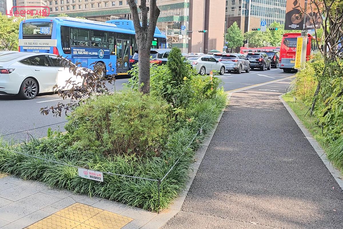 세종대로 한뼘정원 ©오도연