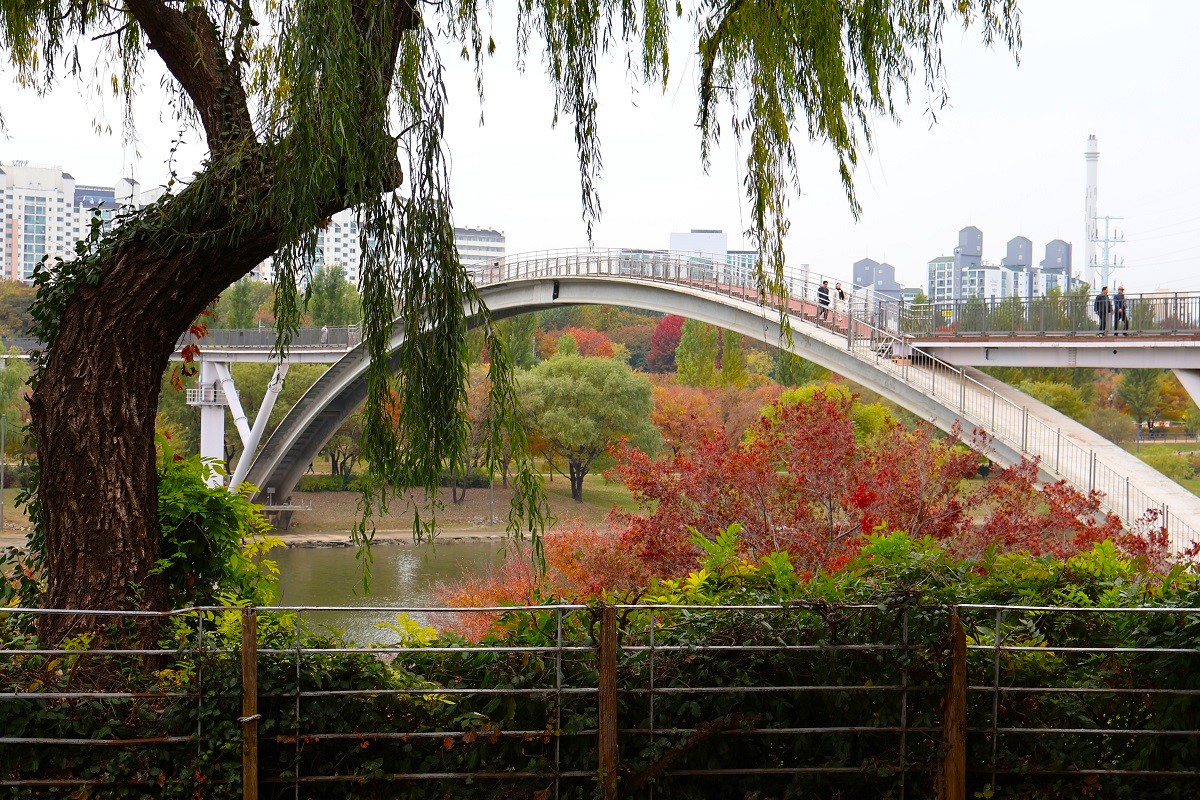 정수장에서 도심 속 문화공간으로&hellip;&#39;선유도공원&#39; 가을 전시