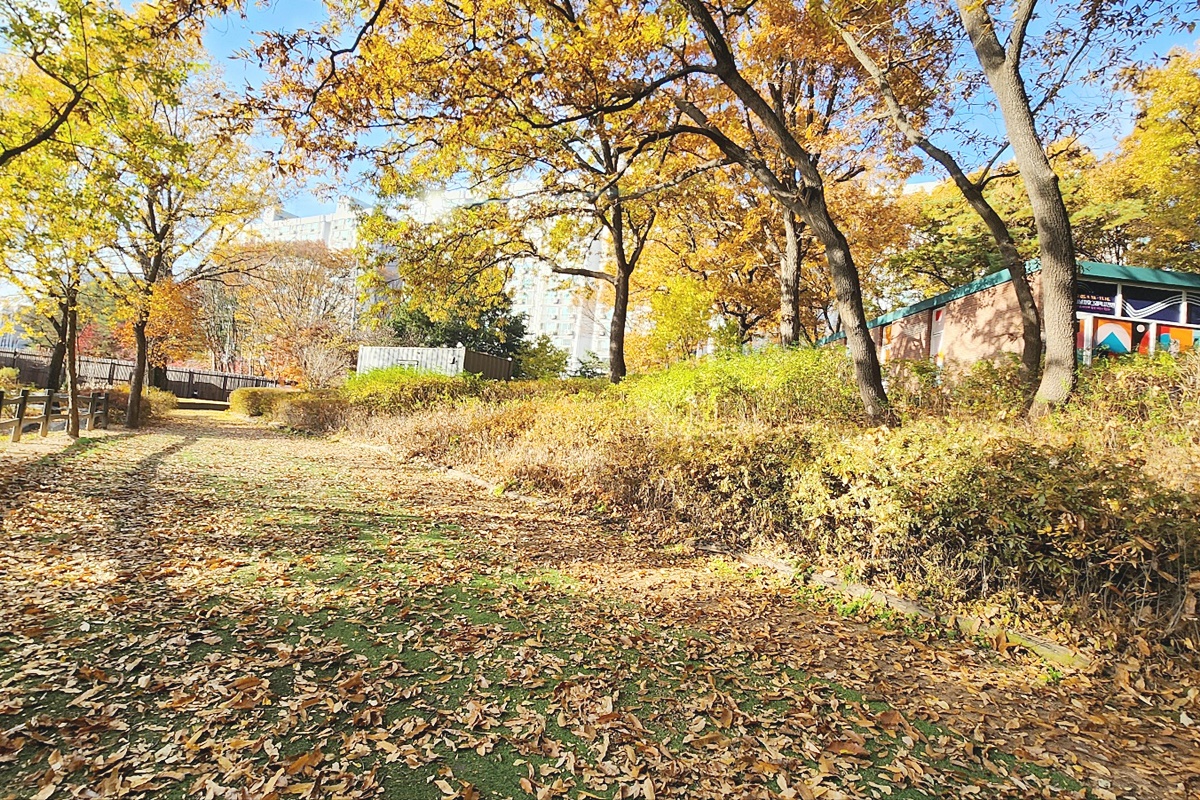 놓치면 1년 후회! 가을의 선물 같은 순간 '불암산 힐링타운' 산책