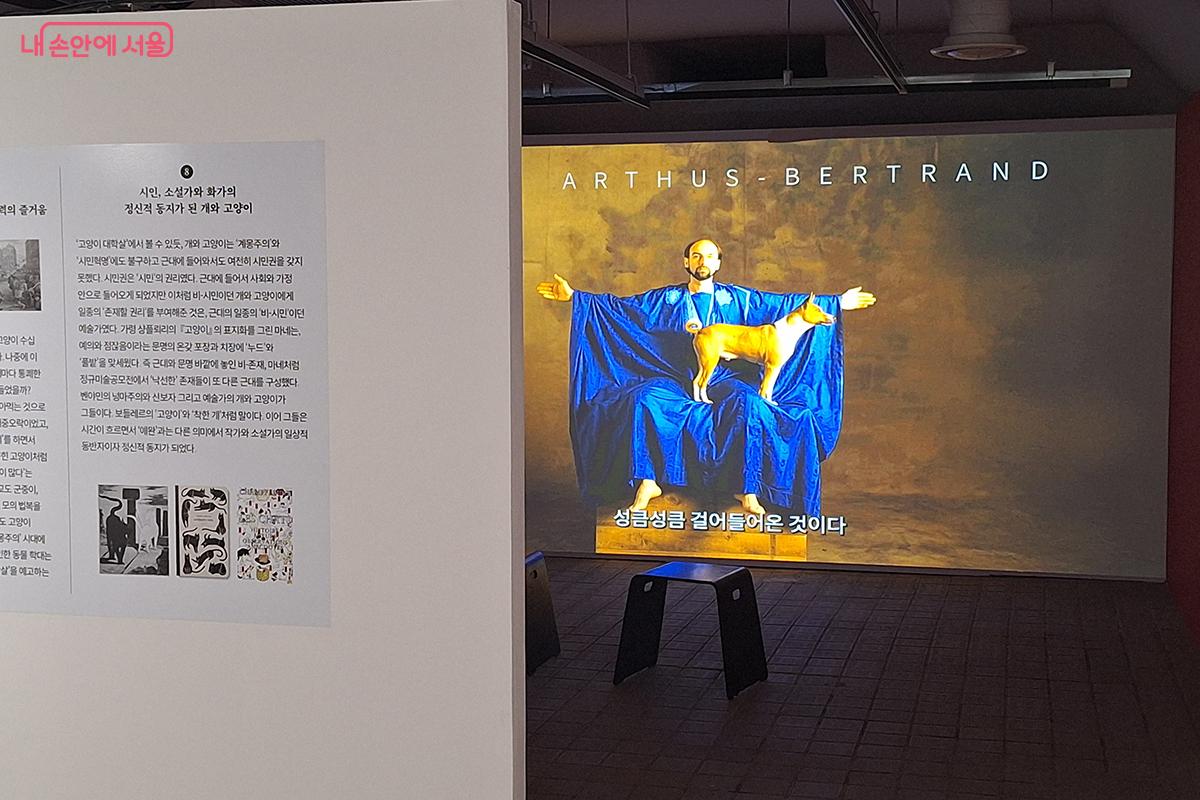 개들은 인간 삶 깊숙이 들어와 진심 어린 동반자이자 충직한 수호자의 자리로 우뚝 섰다. ©이혜숙