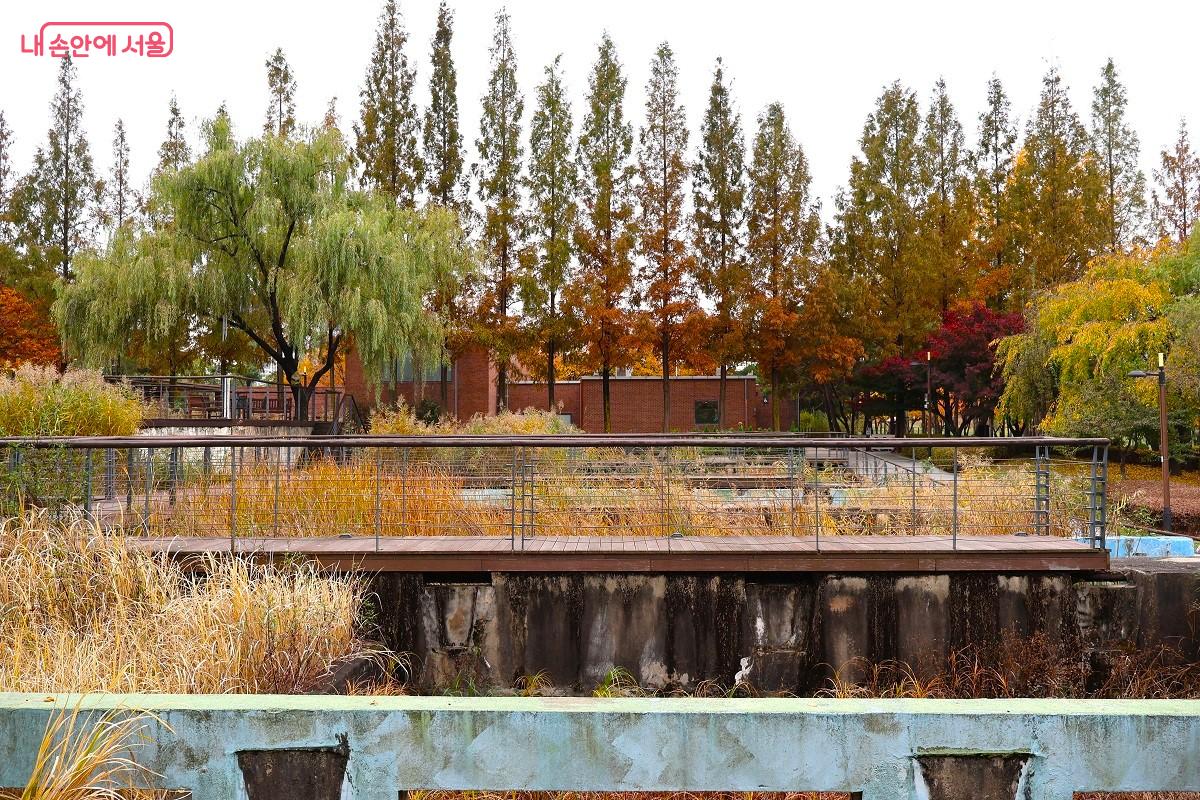 수질정화정원에서 물을 정화하는 여러 수생식물의 모습과 정화과정을 관찰할 수 있다. &copy;이봉덕