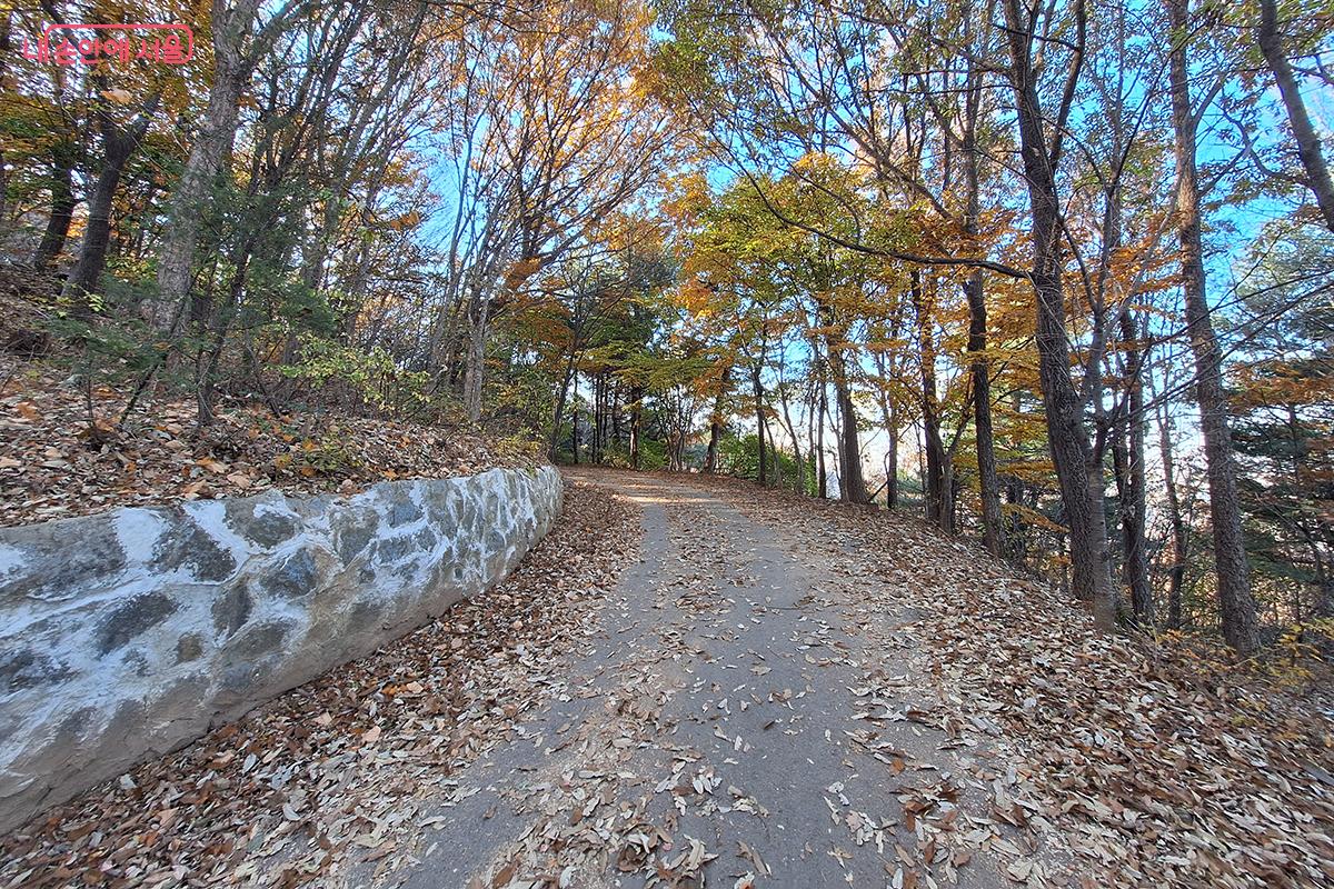 용마산은 데크길은 물론 산책로도 잘 정비되어 있어 시민들이 많이 찾는 곳으로 유명하다. &copy;이혜숙