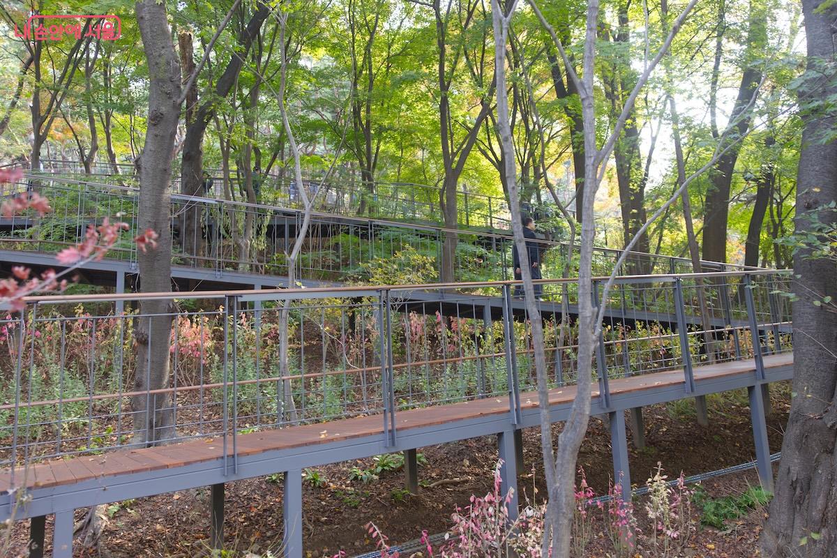 전 구간이 무장애 숲길 형태로 조성되었고 경사도 완만한 편이다. &copy;임중빈