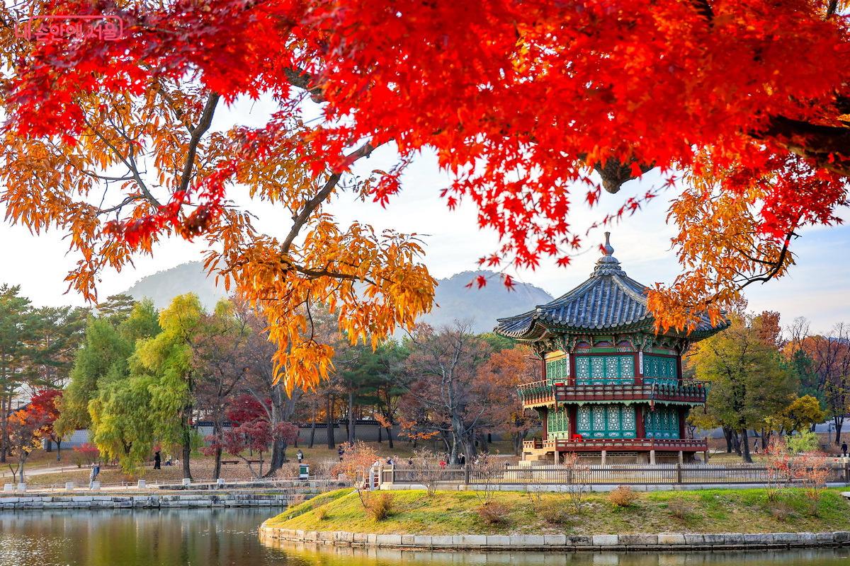 2012년에 보물 제1761호로 지정된 향원정 ©박성환