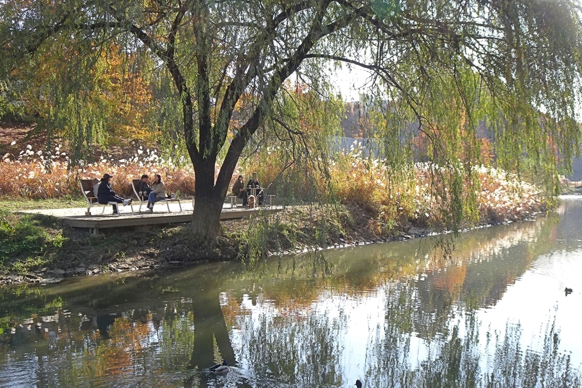 이 가을과 작별하기 아쉬워&hellip;양재천 따릉이 여행 