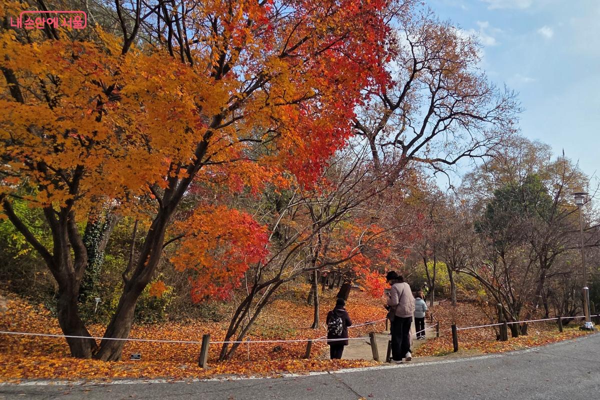 계절마다 다른 풍경을 보여주는 숲은 자연미술관이다. ⓒ김미선