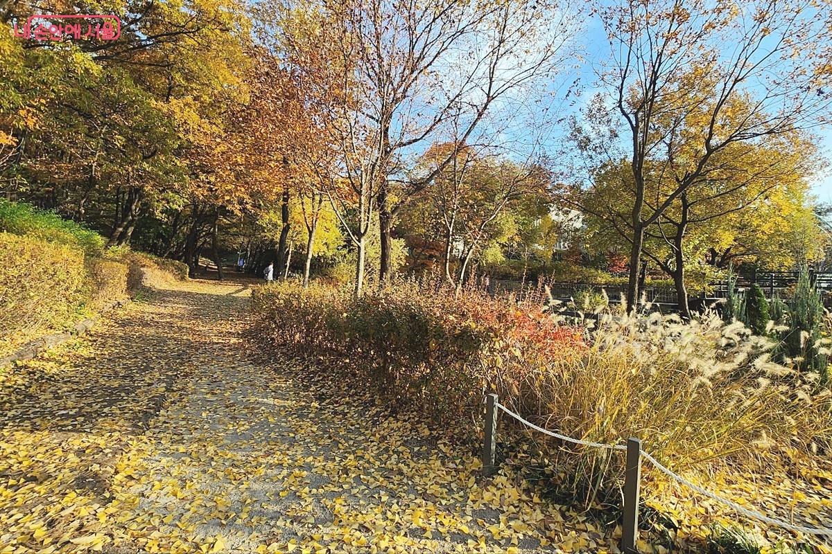 단풍이 절정인 불암산 힐링타운