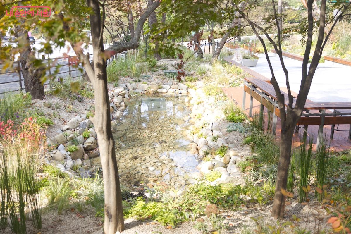 숲길 시작 지점을 정성스럽게 정원화하여 조성한 모습이 인상적이다. &copy;임중빈