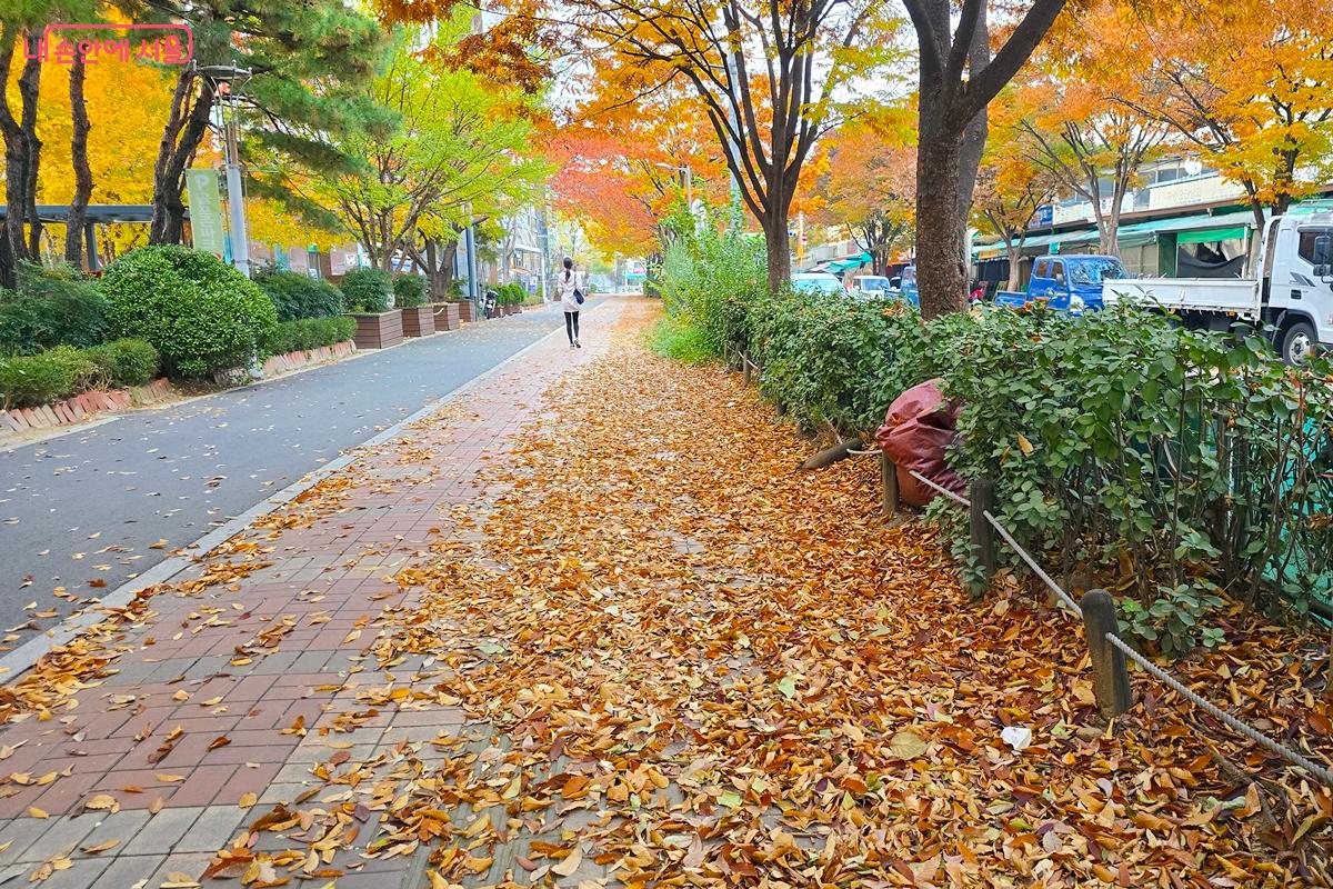 당산공원에서 문래동꽃밭정원 가는 길 곳곳에 낙엽이 쌓여 있다. &copy;김윤경