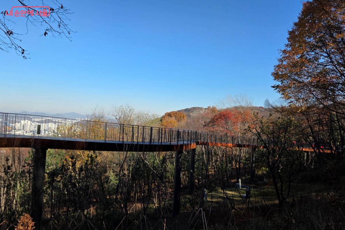 숲 위를 거닐 듯 색다른 보행 경험을 제공한다. ©김미선