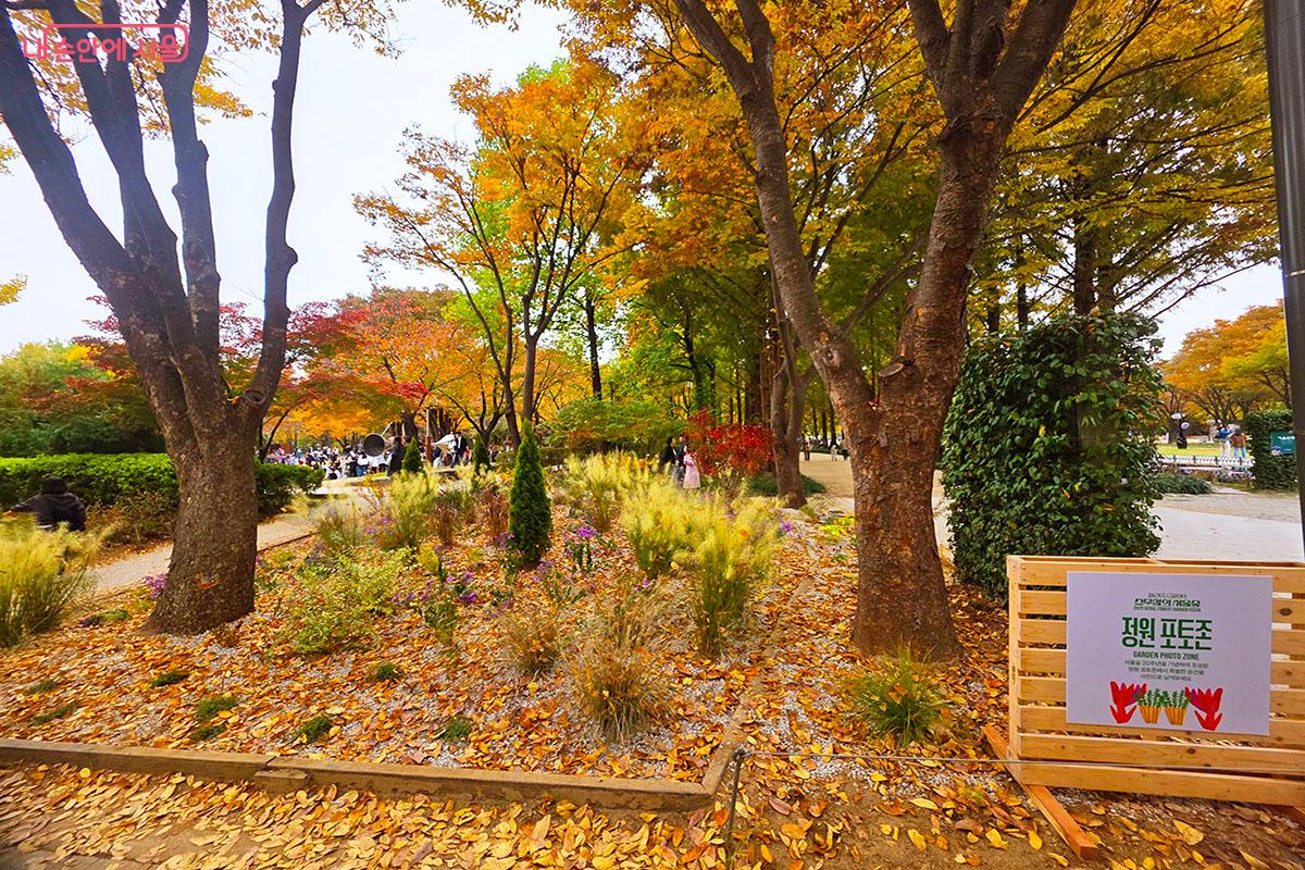 다채로운 꽃과 식물로 꾸며진 정원 포토존 ©이정민