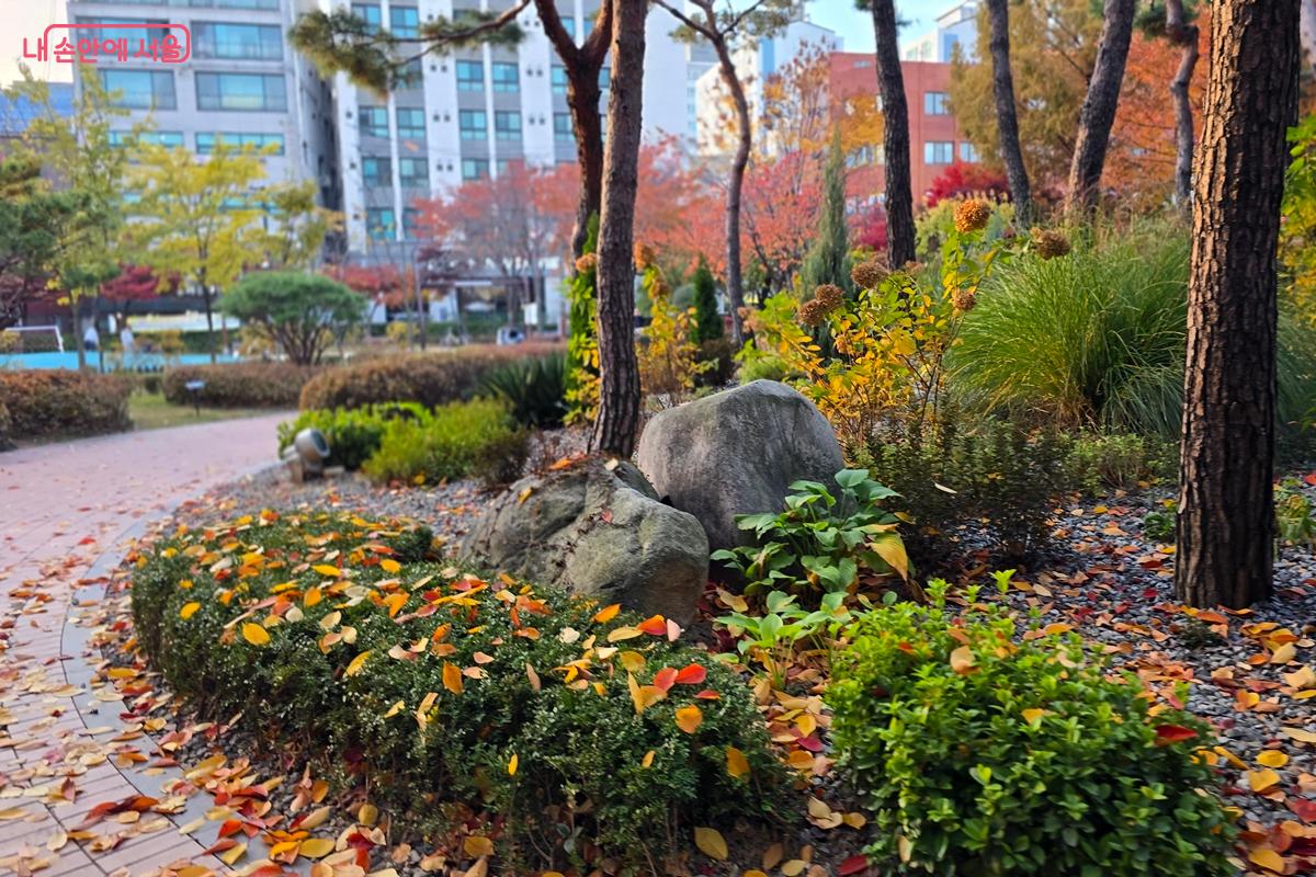 울긋불긋한 낙엽이 예쁜 당산공원 &copy;김윤경