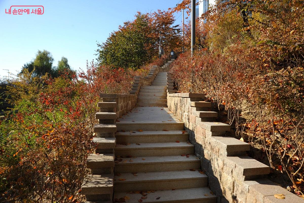 제방 산책로인 벚꽃길과 천변 산책길을 연결하는 계단이 성벽길을 연상케 한다. ⓒ조수봉