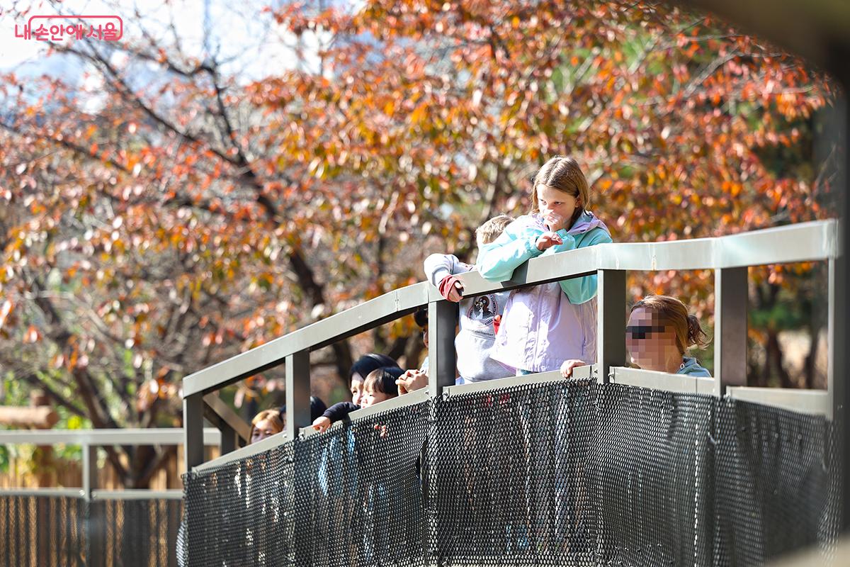 호기심을 가지고 동물들을 관찰하는 아이들의 모습 ©김주연