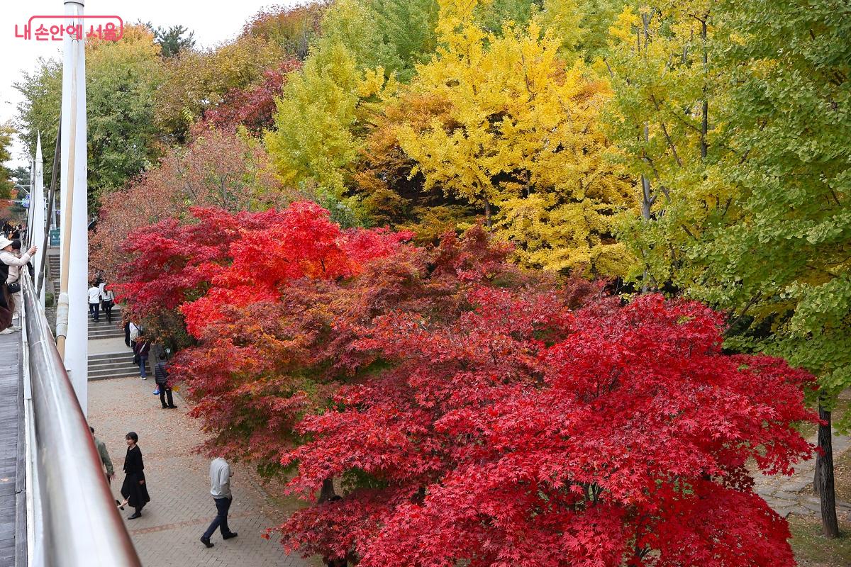 이렇게 아름다울 수는 없다. 자연의 섭리에 감탄이 절로 나온다. ©이봉덕