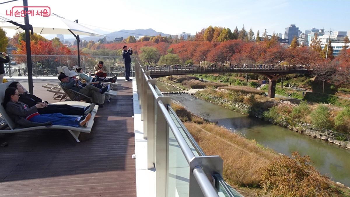 전망좋은 양재천 수변문화쉼터 옥상 ⓒ김종성