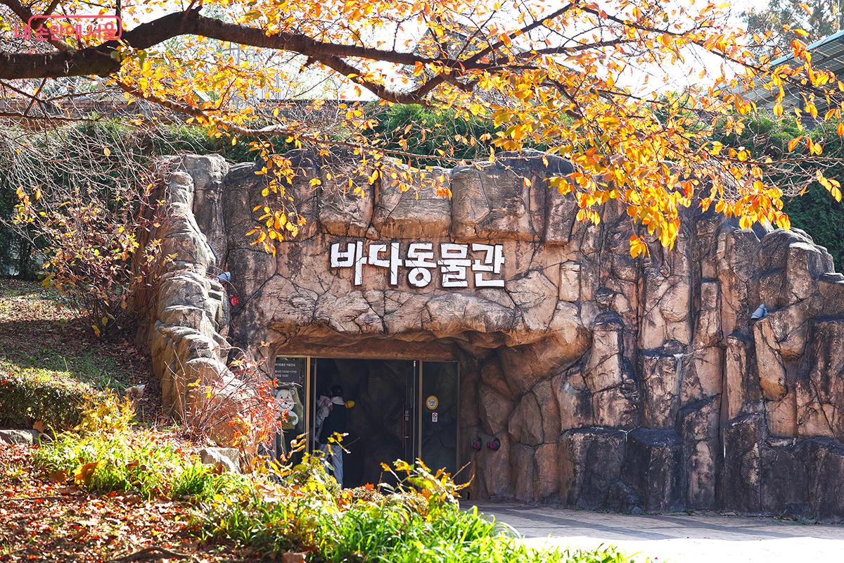 가을색으로 물든 바다동물관 전경 ©김주연