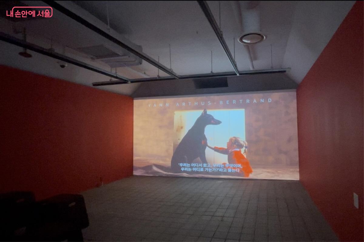 작가 히스토리와 미디어 영상을 보여주는 ‘작가의 우주’ 섹션 ©이정민