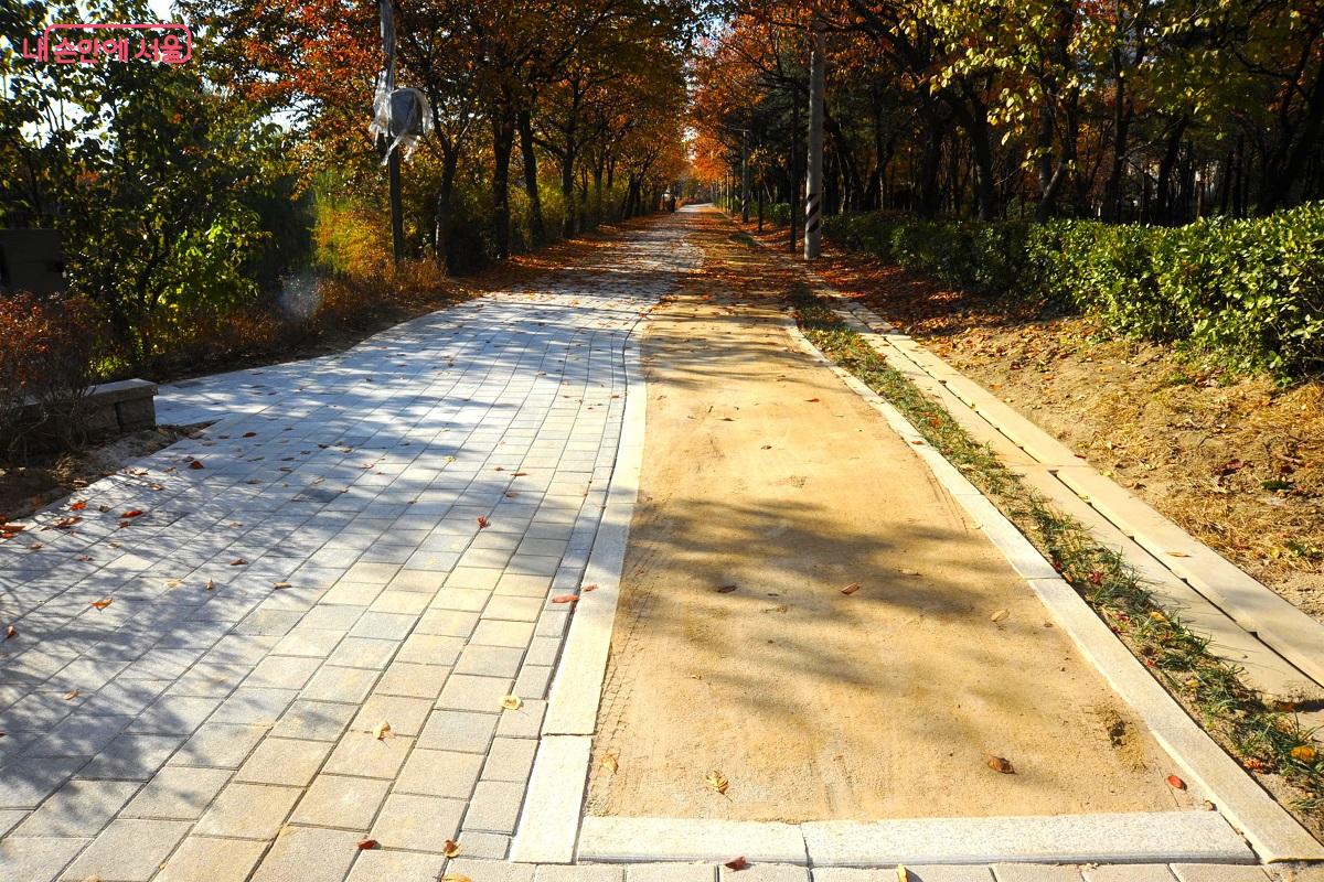 장지천 제방 산책로에 새롭게 황톳길도 조성했다. ⓒ조수봉