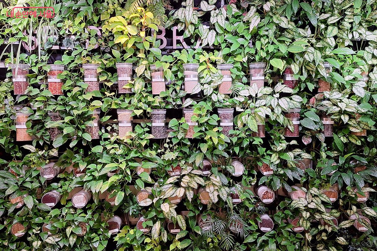 이곳에 담긴 씨앗들은 새로운 시작과 창조의 상징으로, 방문객의 마음 속에도 희망의 싹을 틔운다. ©정향선