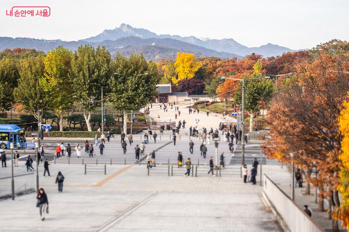 세운상가 3층 전망공간에서 바라보는 종묘의 가을 풍경 &copy;이진형