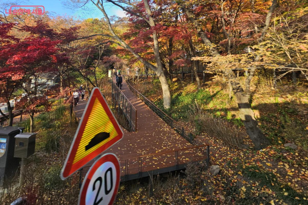 남산 하늘숲길의 단풍 절경을 2층버스에서  내려다 볼 수 있었다. &copy;염지연
