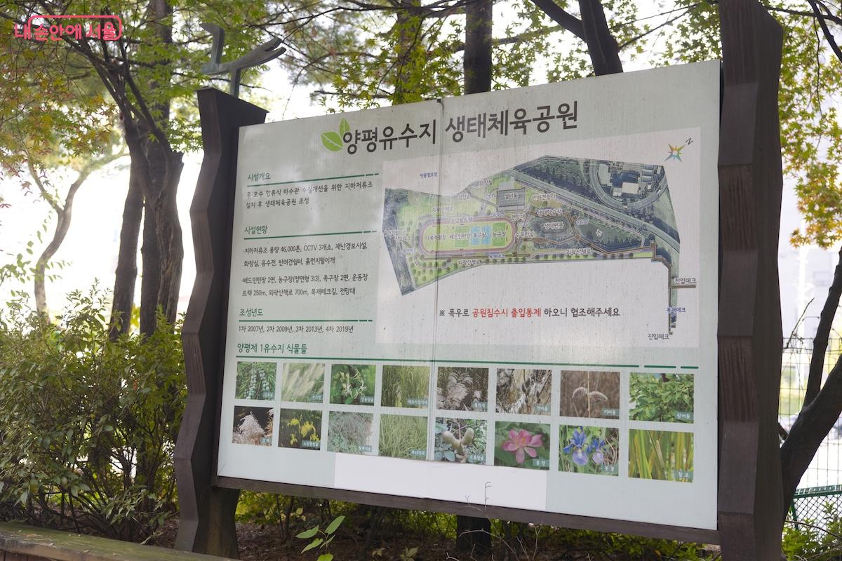 영등포구 양평동에 위치한 양평유수지생태공원 ©임중빈