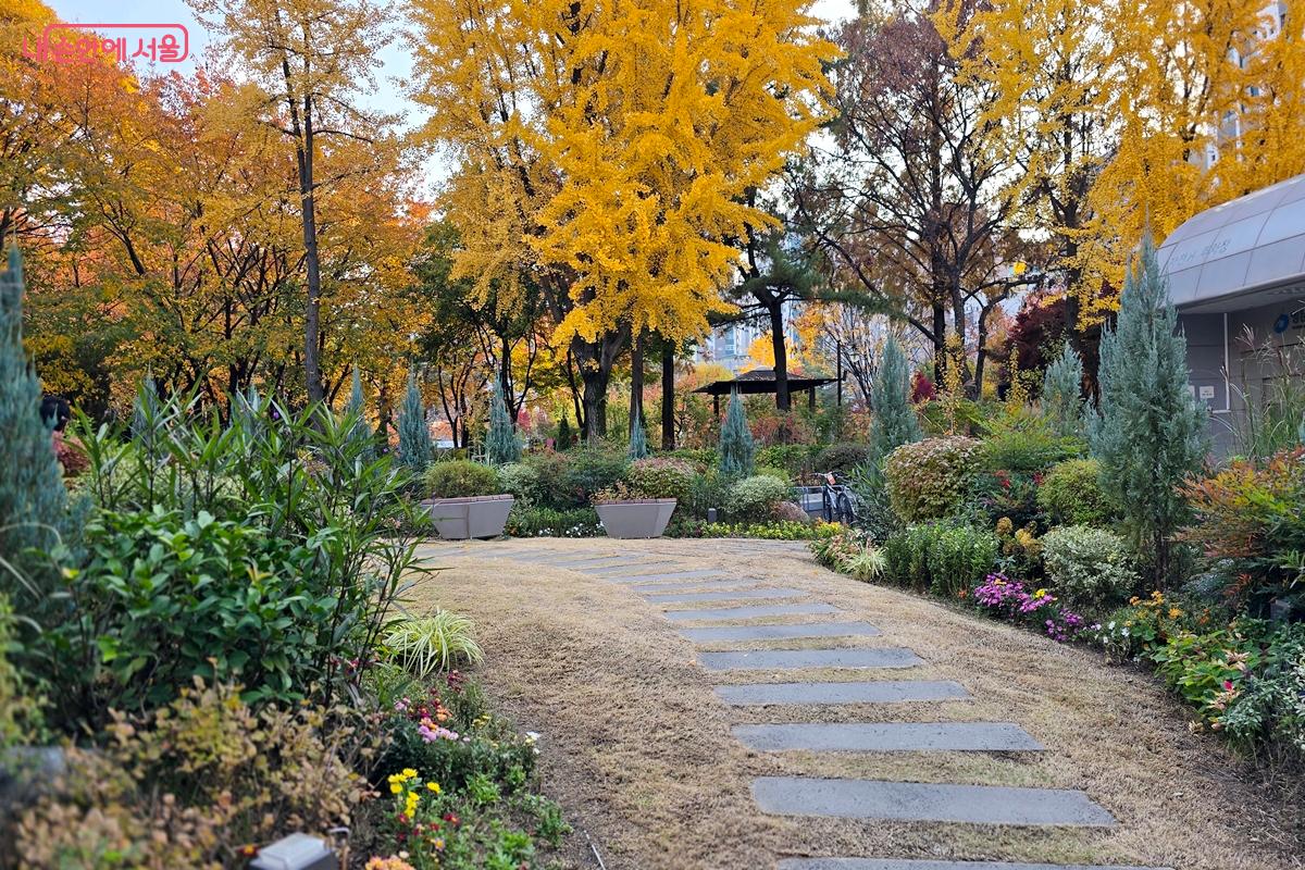 영등포구청 앞에 조성된 청사 화단 &copy;김윤경