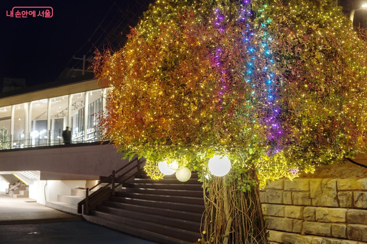 알록달록 예쁜 빛 조형물 뒤로 재간정의 모습이 보인다. ©임중빈