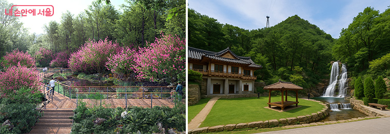 매력가든(한국숲정원), 친수공간 조성안(목멱산방)