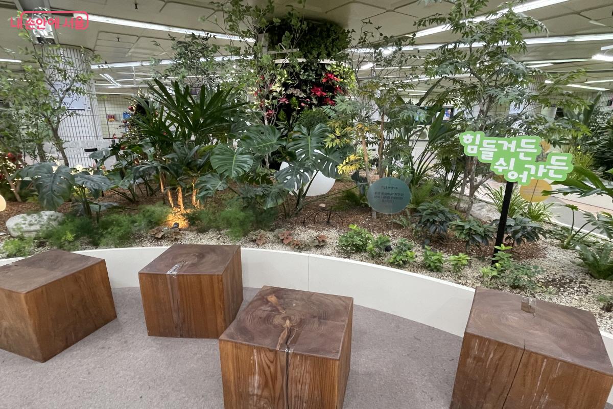 &lsquo;서울 아래숲길&rsquo;은 시민을 위한 생활 속 녹지 공간으로 자리매김하고 있다. &copy;이정민