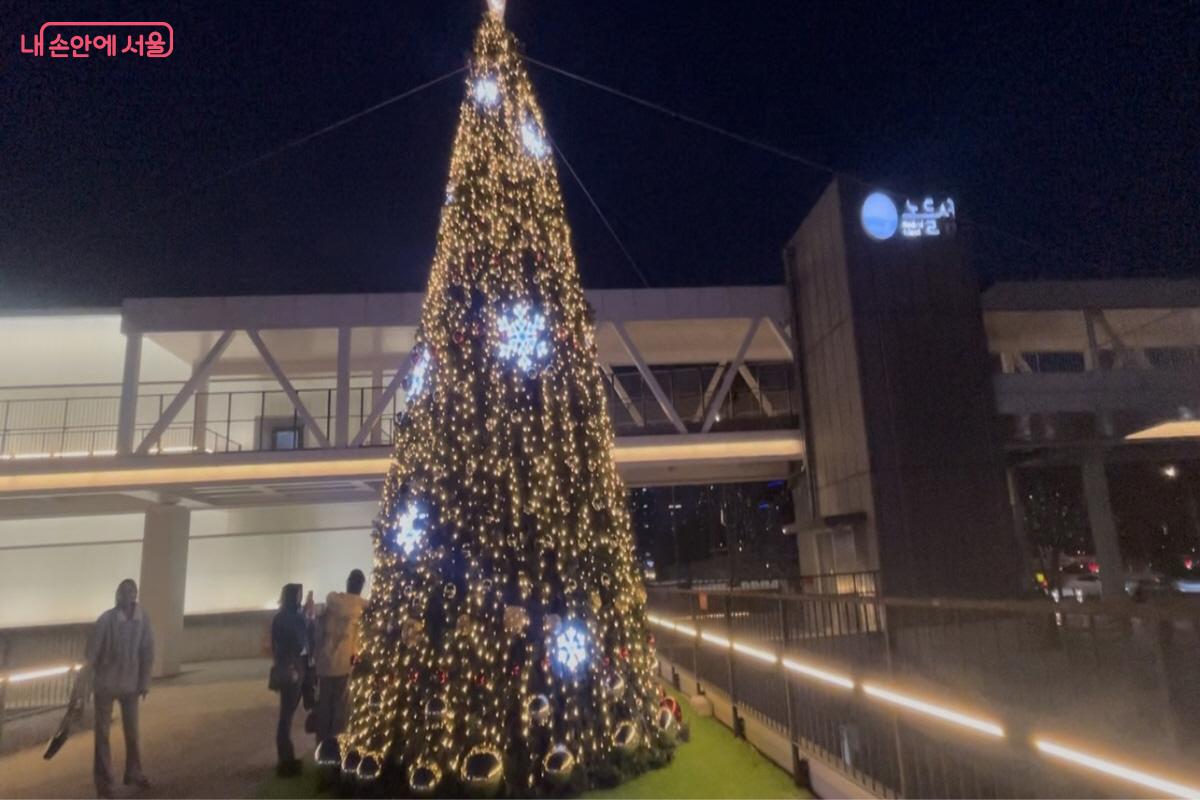 노들 스퀘어에 설치된 대형 크리스마스트리 