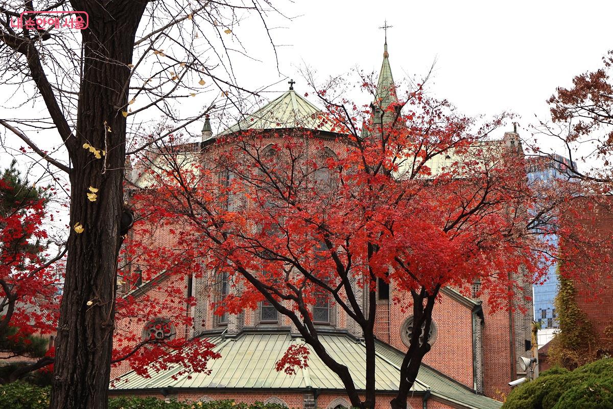 번화한 거리의 소음 속에서도 이곳만큼은 시간이 멈춘 듯 경건하고 평화롭다. ©이봉덕 
