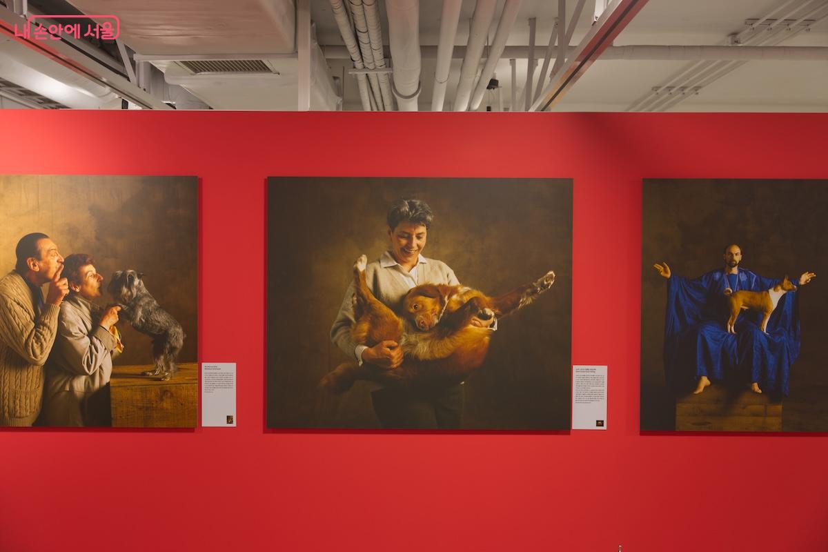 내년 5월 14일까지 넉넉한 기간 동안 전시가 진행된다. ©임중빈