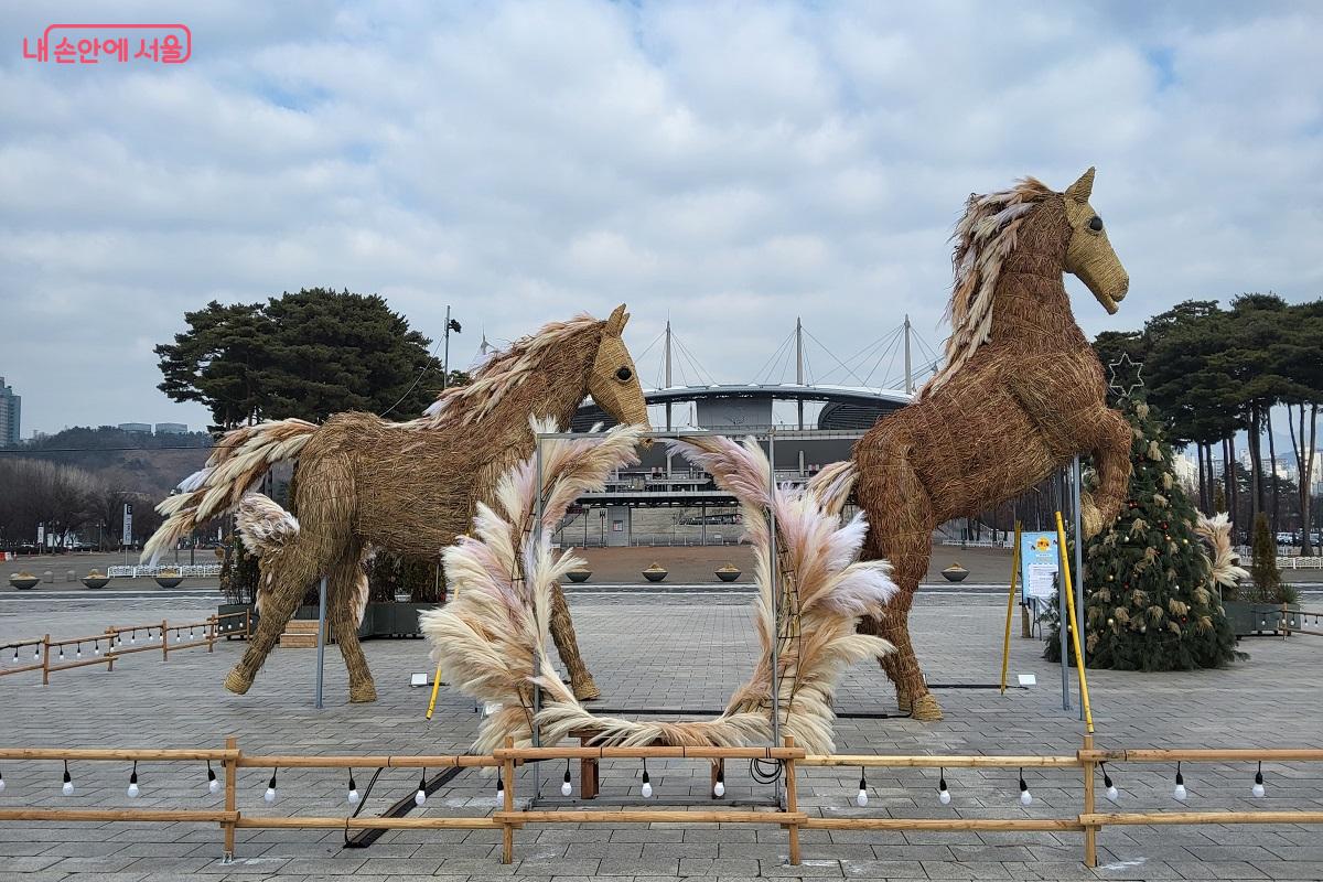 역동적인 모습의 억새말 형제 &copy;권수진