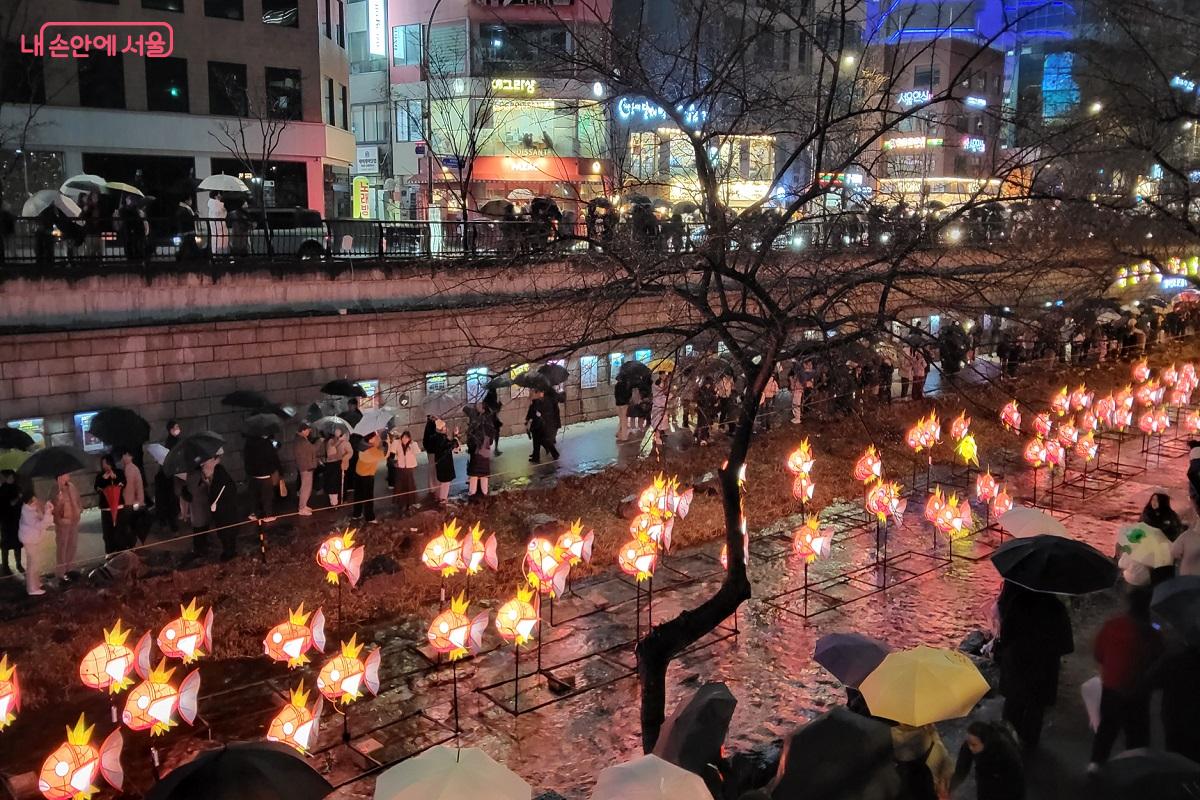 청계천에 잉어킹이 나타났어요! &copy;권수진