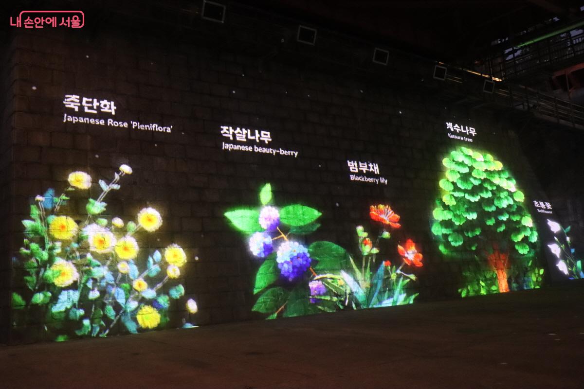 한강에 서식하는 다양한 동식물들 ©조수연