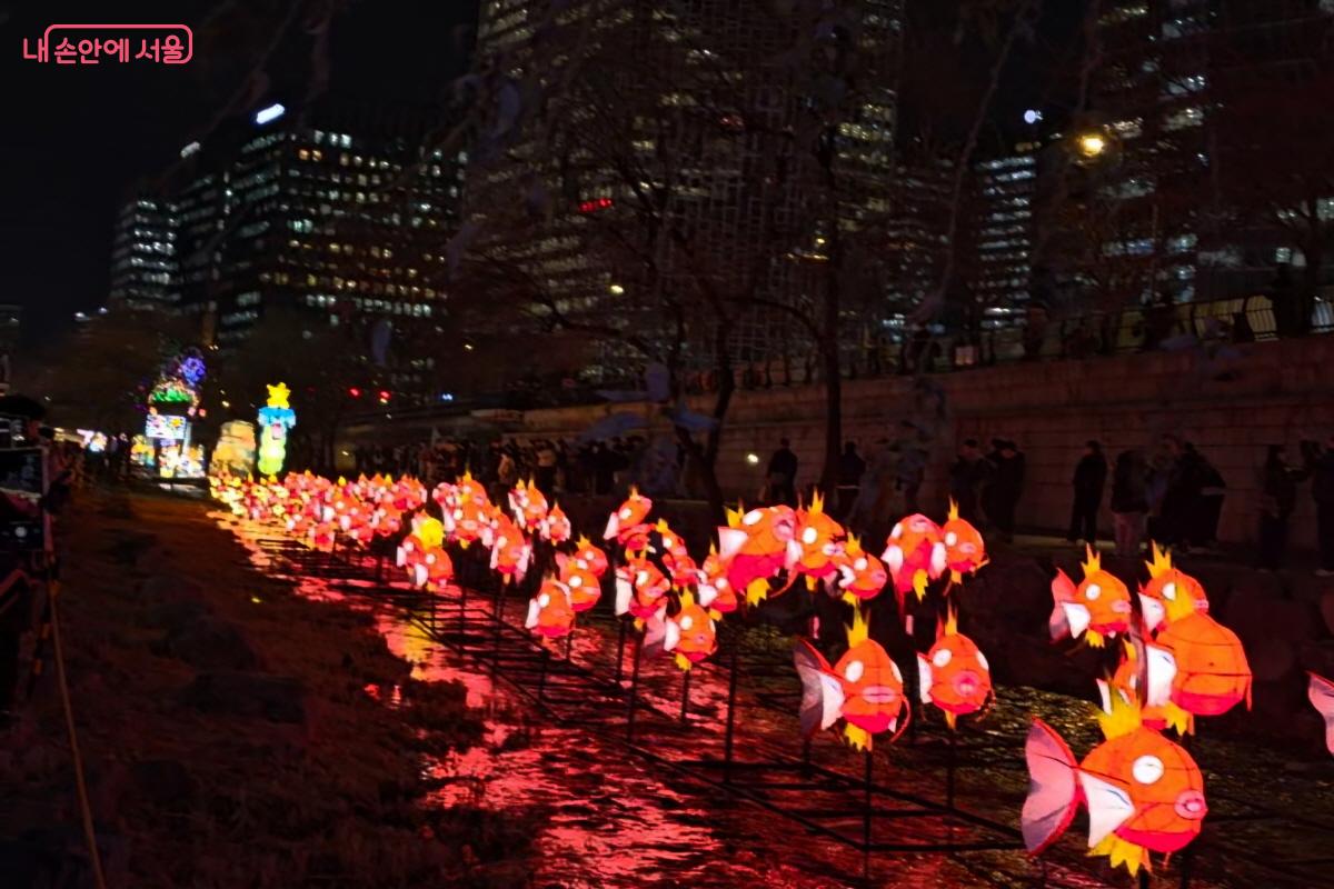 100마리의 잉어킹이 73m 구간을 가득 채웠다. &copy;염지연