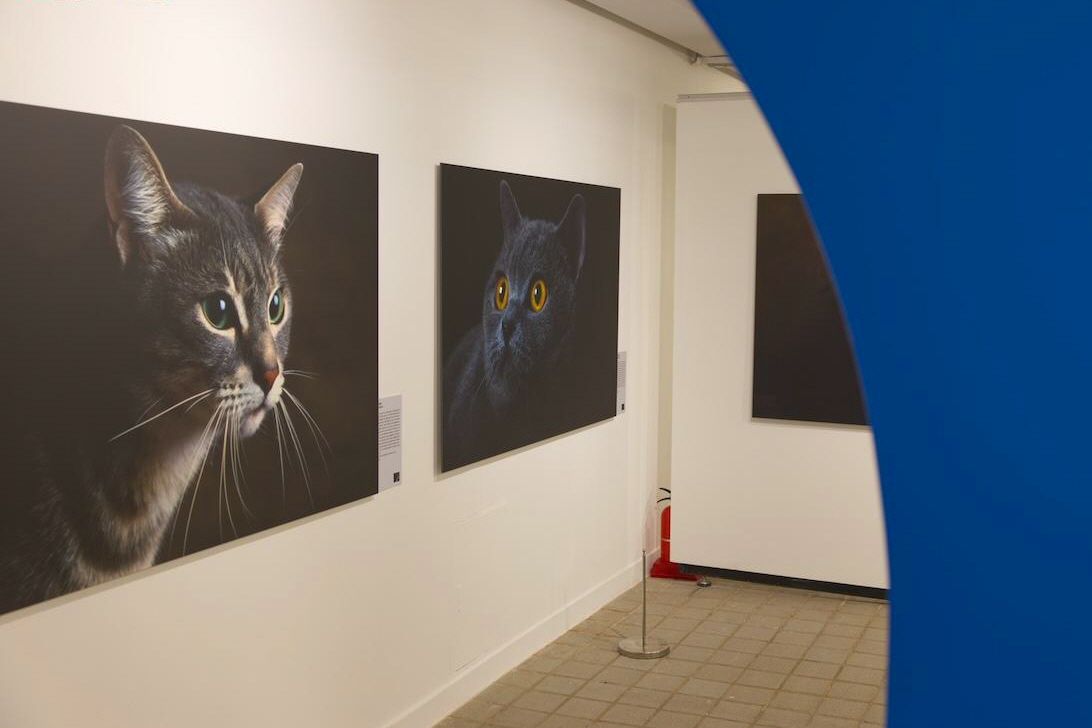 다시 돌아와서 반가워! 세계적 작가의 이색전시로 돌아온 '여의도 벙커'