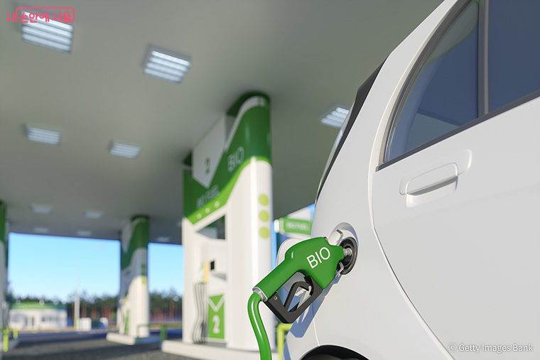 디젤 엔진은 다양한 연료로 작동시킬 수 있다. 식물에서 짠 기름을 활용한 바이오디젤로 자동차를 탈 수 있다.