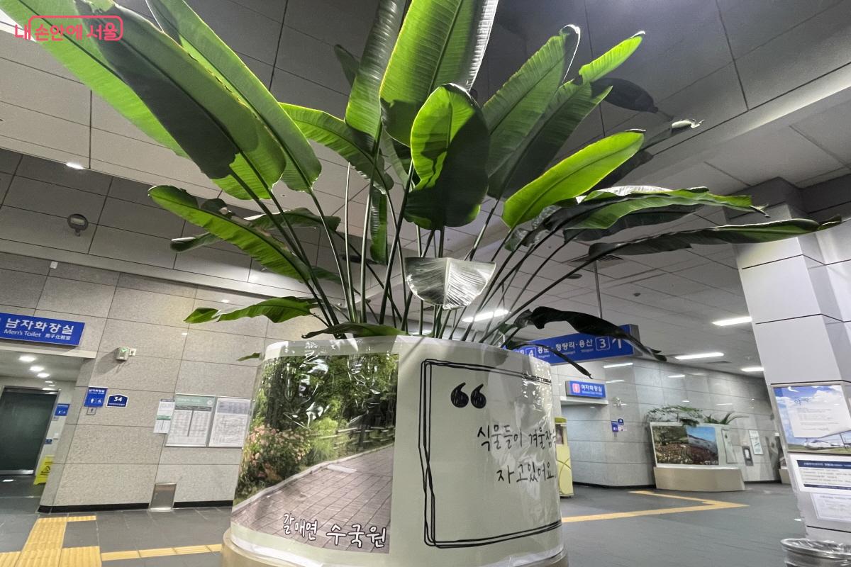 대형 화분마다 보온 가림막을 설치해 월동 준비를 마친 가좌역 지하 1층 &copy;이정민