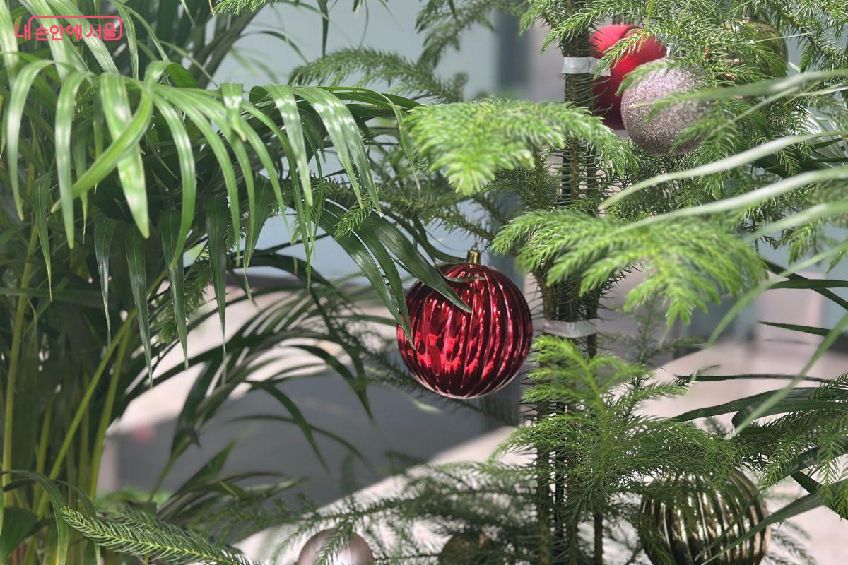 아늑함을 연출하는 크리스마스 장식 ©김재형