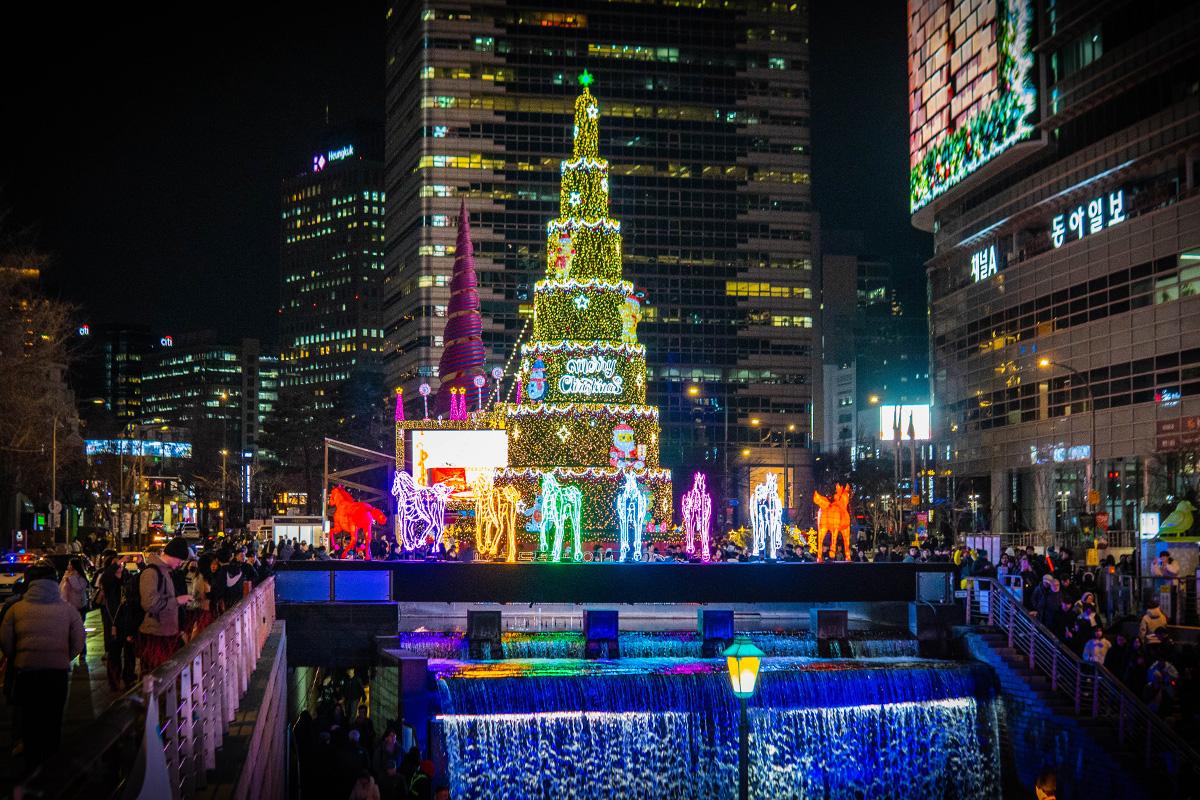빛으로 만나는 겨울의 마법! '서울빛초롱축제'가 시작됐어요