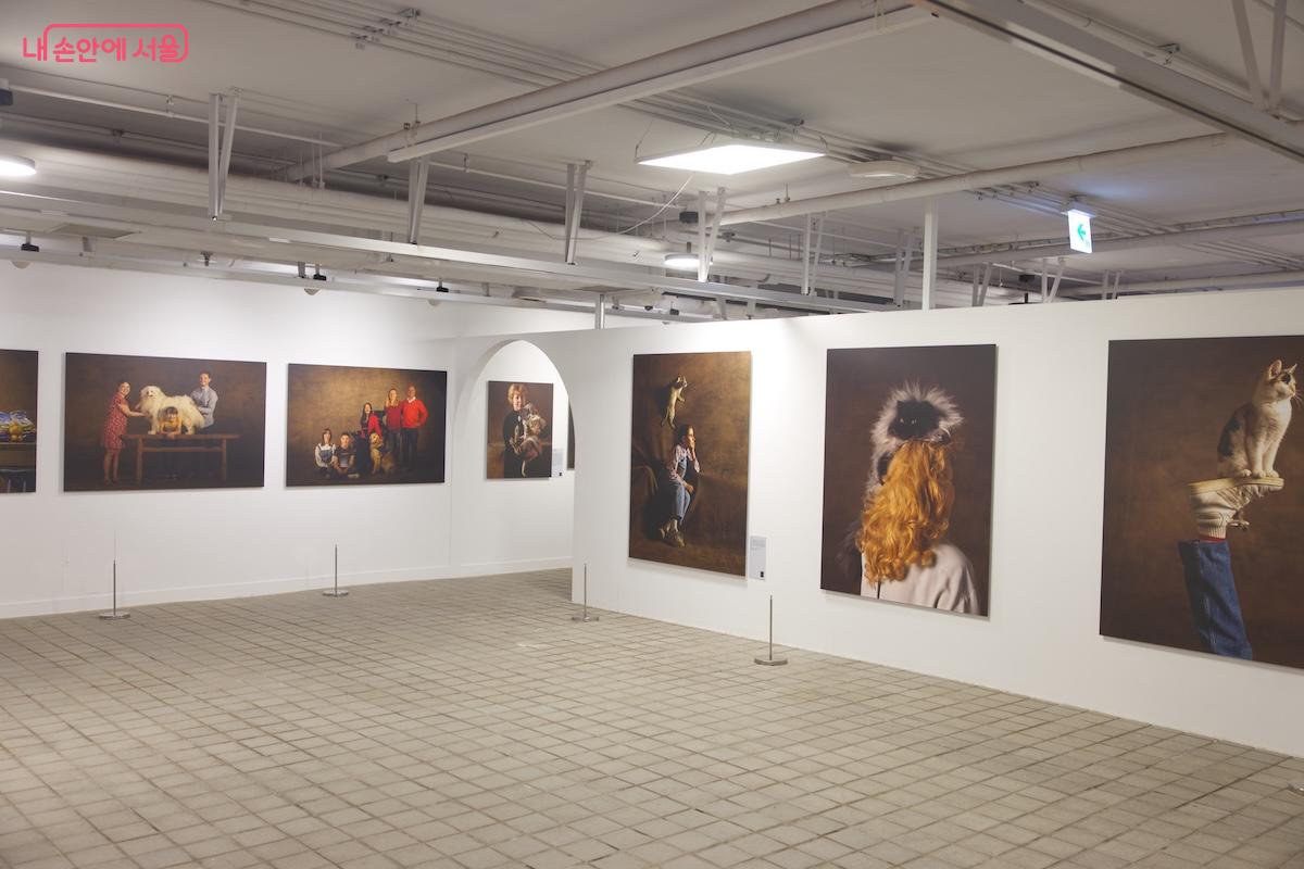 케이지를 이용하면 최초로 반려동물과 함께 입장할 수 있다. ©임중빈