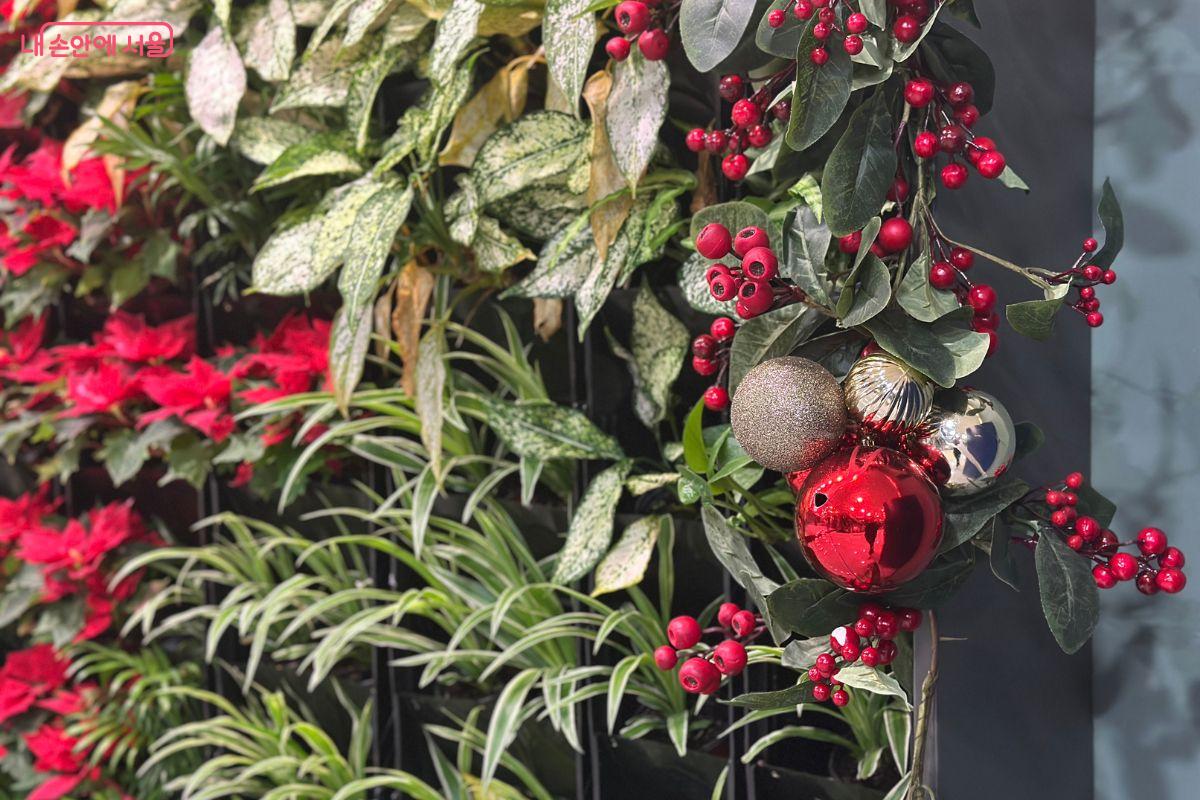 크리스마스 정원의 따스한 느낌을 만끽할 수 있다. ©김재형