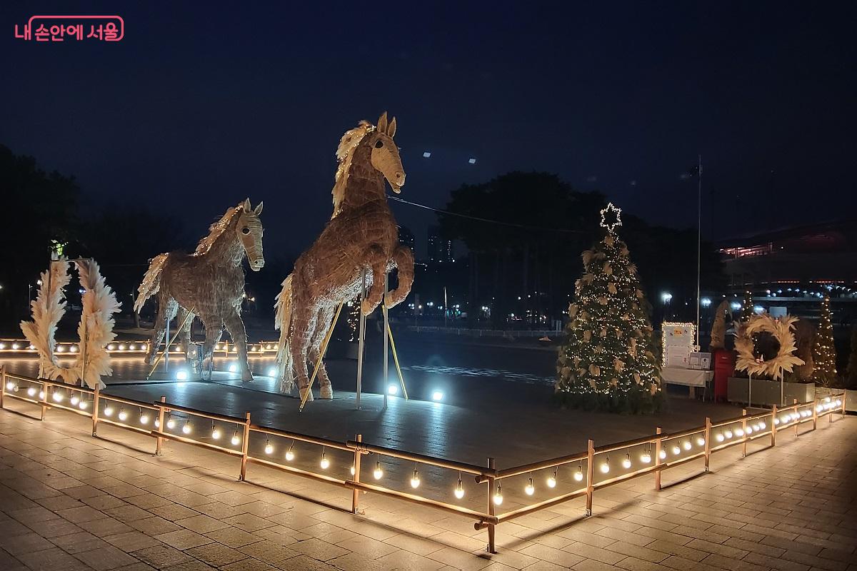 밤에 더욱 빛을 발하는 억새말 형제 &copy;권수진